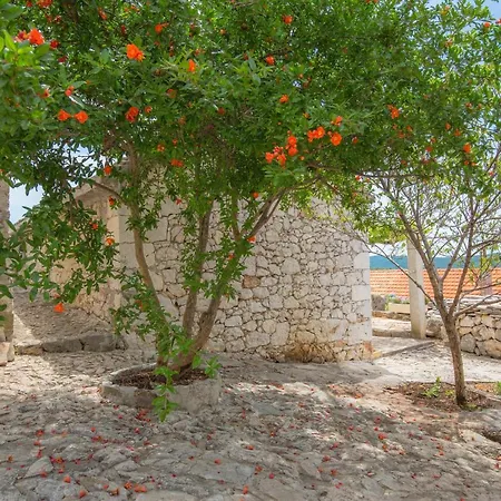 Dalmatian Stone House * Rogoznica (Sibenik-Knin)